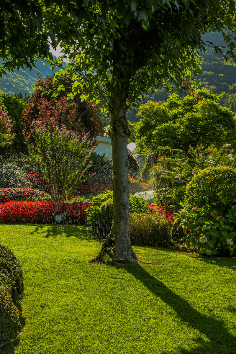 Example of a garden designed in GA done by Catalan Landscaping for specific service page