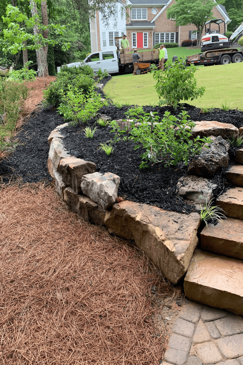 planted trees on a freshly sodded bit of grass